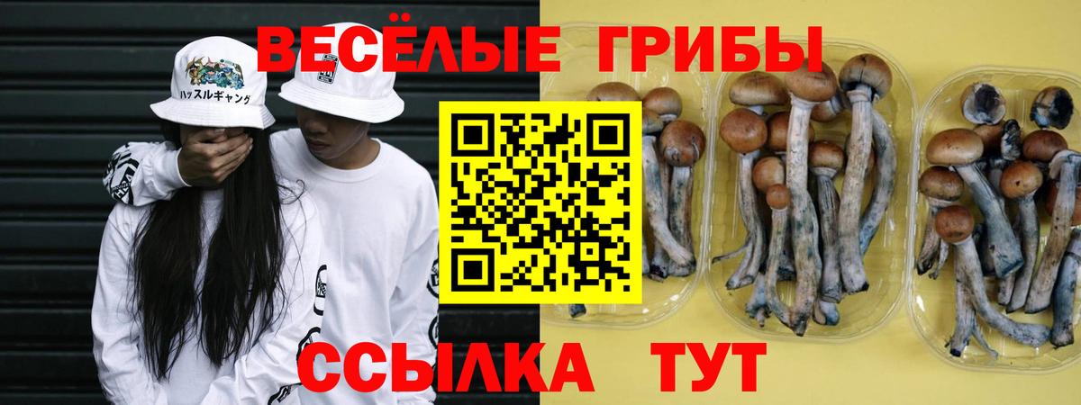 Чита  Галлюциногенные грибы ЛСД  Вход с VPN 