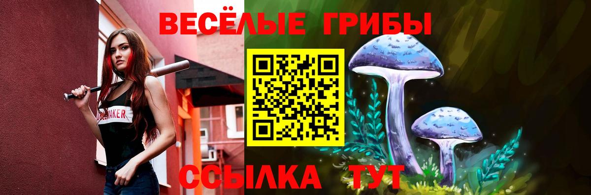 Галлюциногенные грибы Psilocybe Чита